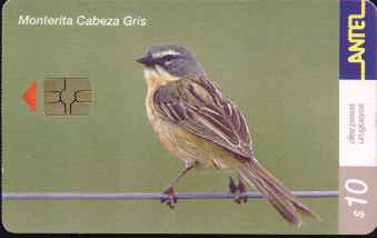 vergr��ern mit Mausklick