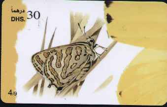 vergr��ern mit Mausklick